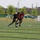 Soccer during KATUSA Friendship Week Soccer during KATUSA Friendship Week