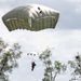 US, Allied paratroopers jump at historic drop zone in Normandy for D-Day 82
