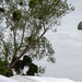 US, Allied paratroopers jump at historic drop zone in Normandy for D-Day 82