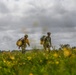 Paratroopers jump into Iron Mike DZ, Normandy 82