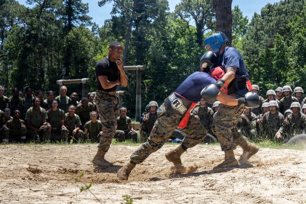 India Company Body Sparring