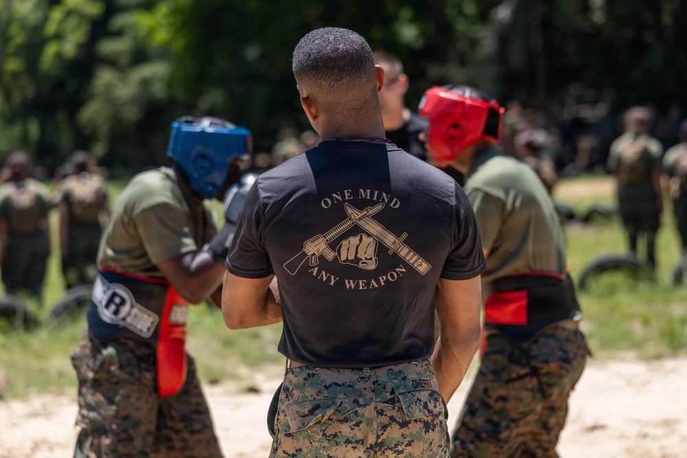 India Company Body Sparring