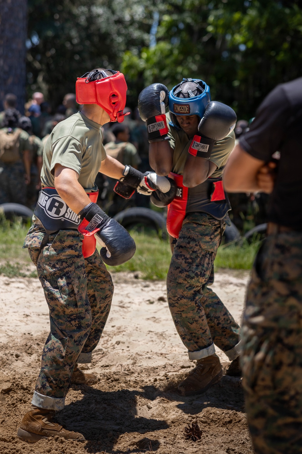 India Company Body Sparring
