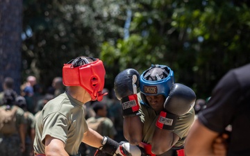 India Company Body Sparring