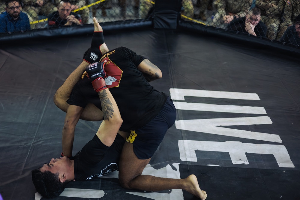 Week of the Eagles 2026 Combatives Tournament hits hard at Fort Campbell