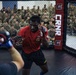 Week of the Eagles 2026 Combatives Tournament hits hard at Fort Campbell