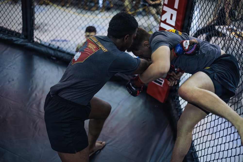 Week of the Eagles 2026 Combatives Tournament hits hard at Fort Campbell