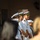 Battle of Midway Commemoration at NSWC Corona Division