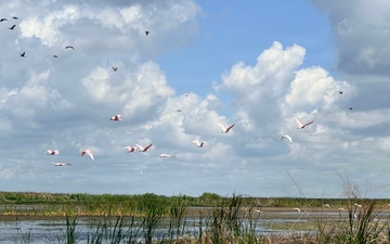 America's Waters - Lake Okeechobee