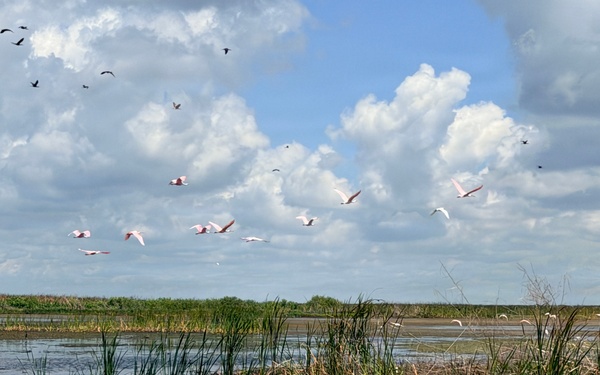 America's Waters - Lake Okeechobee