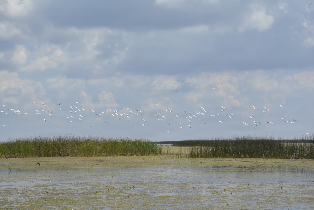 America's Waters - Lake Okeechobee