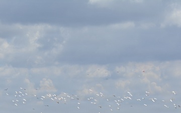 America's Waters - Lake Okeechobee