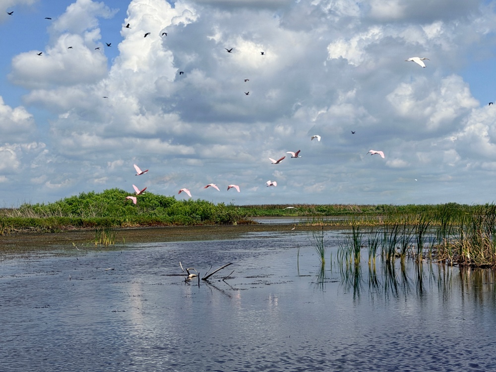 America's Waters - Lake Okeechobee