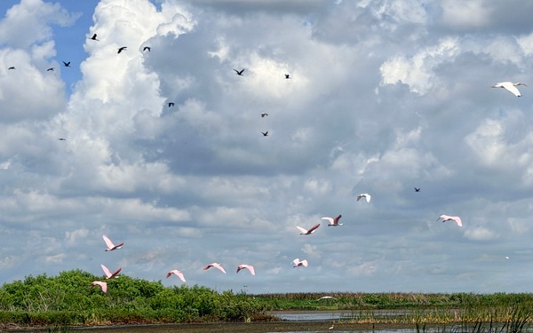 America's Waters - Lake Okeechobee