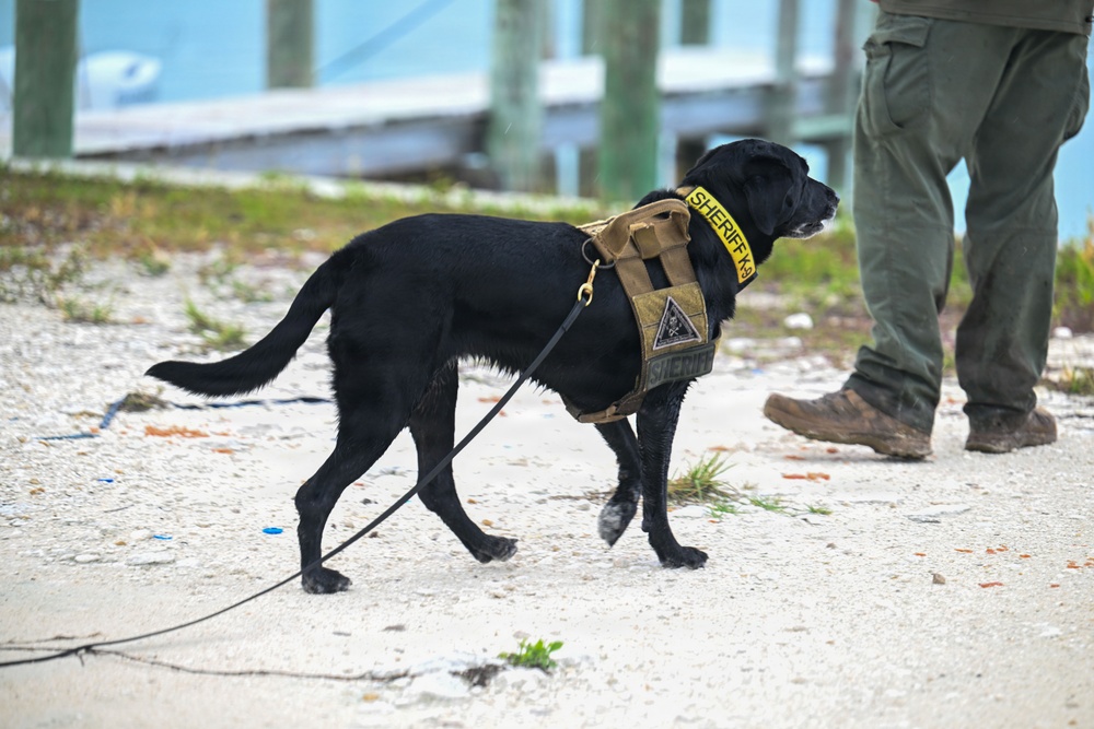 U.S. Coast Guard concludes Bahamas mission in Lynette Hooker disappearance investigation