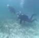 U.S. Coast Guard concludes Bahamas mission in Lynette Hooker disappearance investigation
