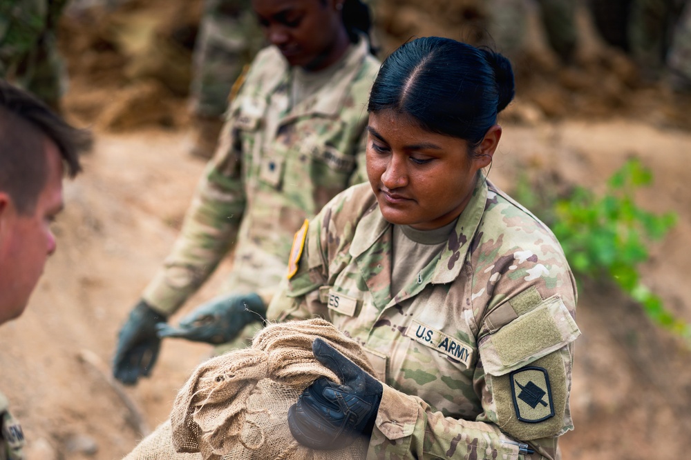 Combat Engineers Build Breach Range During Annual Training