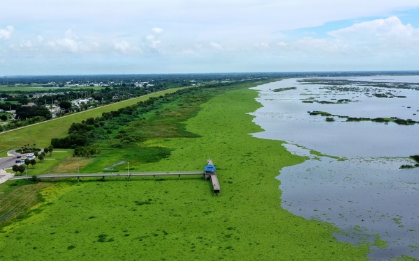 Lake Okeechobee Aquatic Invasive Water Hyacinth