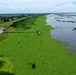 Lake Okeechobee Aquatic Invasive Water Hyacinth
