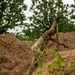 Combat Engineers Build Breach Range During Annual Training
