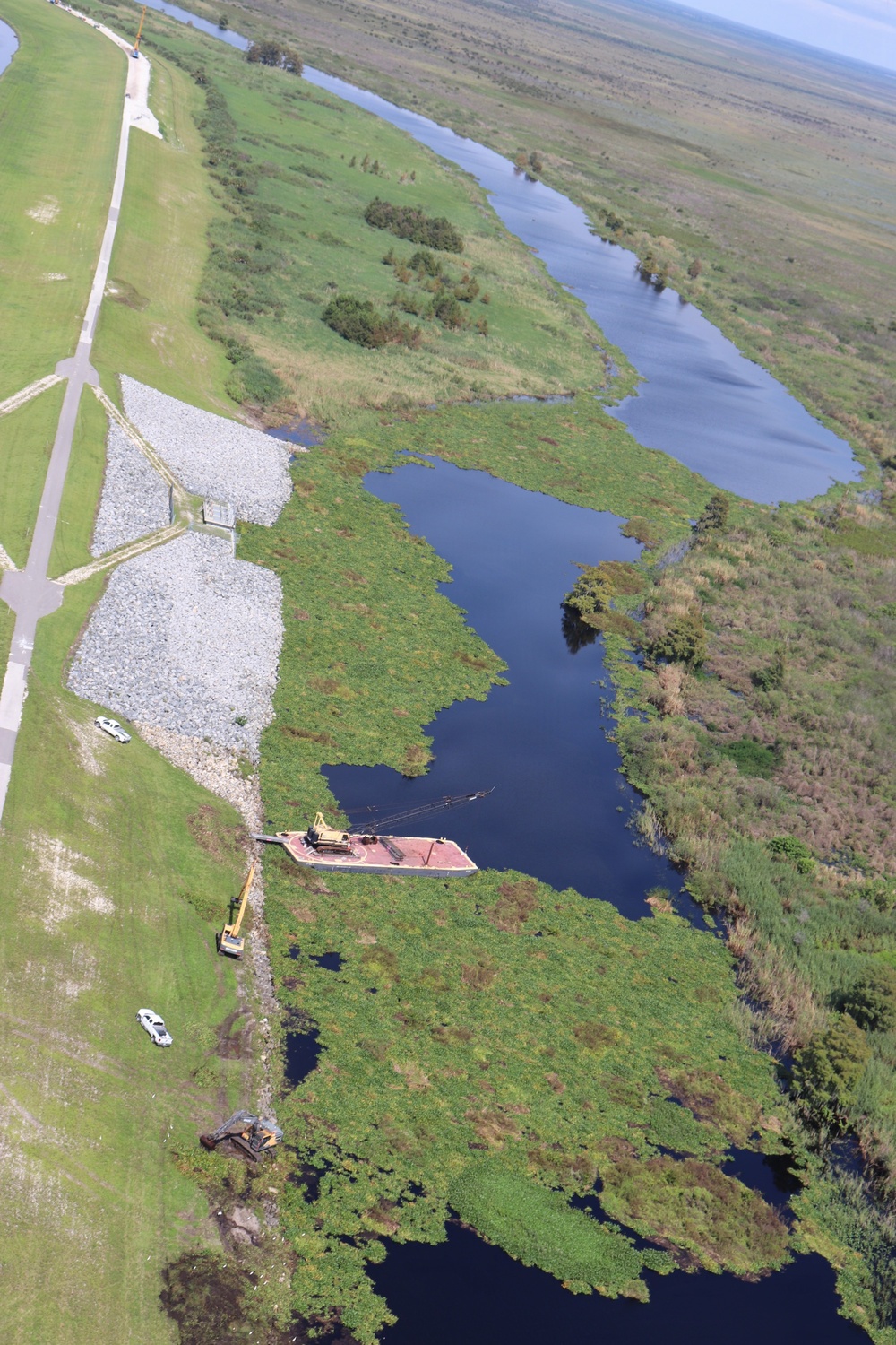 Lake Okeechobee Aquatic Invasives