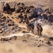 ITX 3-26 | 1st Battalion, 24th Marines Conduct Platoon Attack at Range 410 Alpha