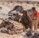 ITX 3-26 | 1st Battalion, 24th Marines Conduct Platoon Attack at Range 410 Alpha
