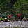 U.S. Coast Guard Air Station Astoria crew works alongside Oregon National Guard, Clackamas County Fire Department and other partner agencies during a full-scale inland water rescue training exercise in Sandy Oregon.
