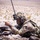 3rd Infantry Division validates new tech and tactics at NTC