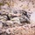 3rd Infantry Division validates new tech and tactics at NTC