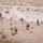 3rd Infantry Division validates new tech and tactics at NTC