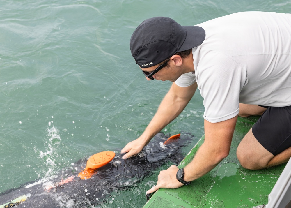 Defense POW/MIA Accounting Agency Conducts Underwater Investigation Mission in Vietnam