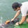 Defense POW/MIA Accounting Agency Conducts Underwater Investigation Mission in Vietnam Defense POW/MIA Accounting Agency Conducts Underwater Investigation Mission in Vietnam