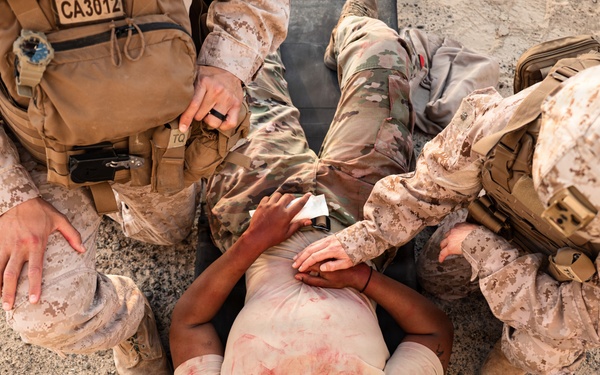 Deployed service members conduct joint MASCAL exercise