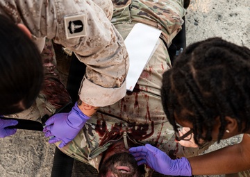 Deployed service members conduct joint MASCAL exercise