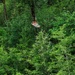 Oregon National Guard members collaborated with the Clackamas Fire Department and additional first responders to conduct aviation rescue training