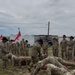 Operation Iron Spur: 2-415th Regiment Final Spur Ride