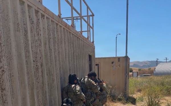 Operation Iron Spur: 2-415th Regiment Final Spur Ride