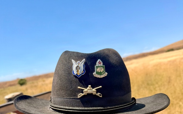 Operation Iron Spur: 2-415th Regiment Final Spur Ride