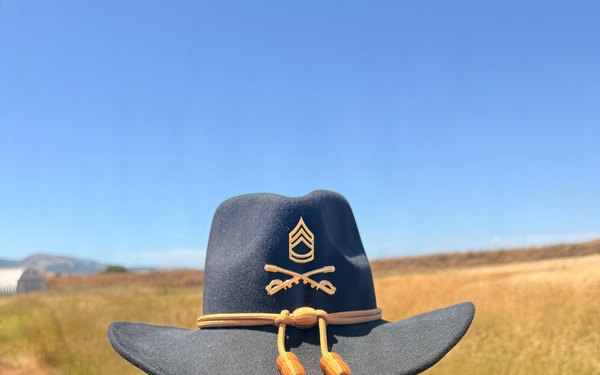 Operation Iron Spur: 2-415th Regiment Final Spur Ride