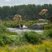 D-Day 82nd Anniversary Airborne Operations