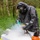 2nd Light Armored Reconnaissance Battalion conducts CBRN training evolution during BALTOPS 2026 2nd Light Armored Reconnaissance Battalion conducts CBRN training evolution during BALTOPS 2026