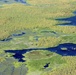 Aquatic Invasive Hyacinth Blooms on Lake Okeechobee