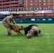 Tinker AFB, OKC Comets host Military Appreciation Night