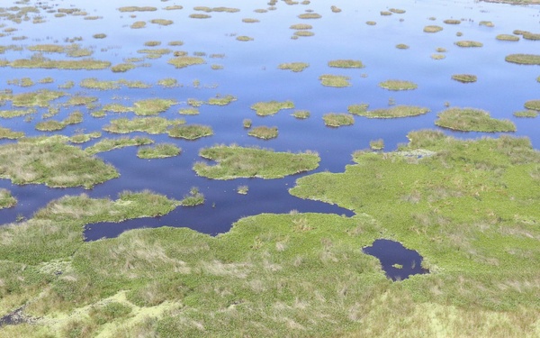 Aquatic invasive water lettuce spreads across Lake Okeechobee