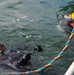 U.S. and Royal Netherlands Navy Divers Advance Boat Ramp Construction in Latvia
