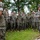 The Commandant, Gen. Eric M. Smith visits AFRICOM, EUCOM, and MARFOREUR/AF The Commandant, Gen. Eric M. Smith visits AFRICOM, EUCOM, and MARFOREUR/AF