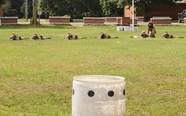 Alpha Company Grass Week