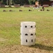 Alpha Company Grass Week