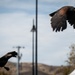 The Mobile Vietnam Memorial Wall, Antelope Valley Wall 2025